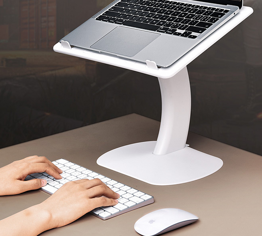 Laptop & Reading Stand